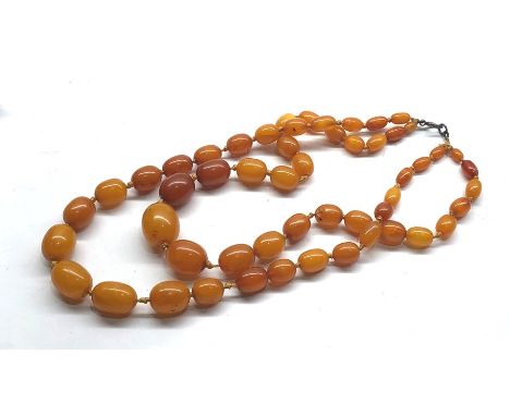 Vintage 2 strand egg yolk amber graduated bead necklace largest bead measures approx 21mm by 17 mm total weight 45g 
