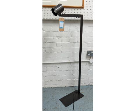 CHRISTIAN LIAIGRE CHANTECAILLE FLOOR LAMP, 115cm H. 