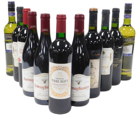 Assorted wine, including Chateau Terre Bleue Saint-Georges-Saint-Emilion 2009, Grand vin de Bordeaux, Bodegois Primicia Rioja