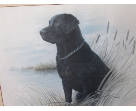 A Limited Edition print after James Rowley, Black Labrador