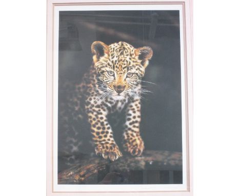 A Limited Edition print after Steven Townsend, Cheetah, First Adventure, signed