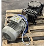 BORA #ROOTS-BORA-463 Vacuum Pump