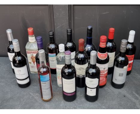 A mixed group of Wine and Spirits, to include: a 50cl VSOP Armagnac. (16)