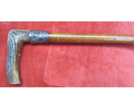 An antler handled walking stick with a silver collar