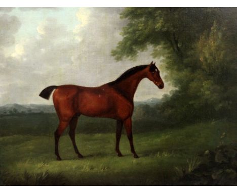 Follower of Francis Sartorius (1734-1804)oil on canvas,Portrait of a racehorse 'Zadoni' 1791,signed,19.5 x 23in.