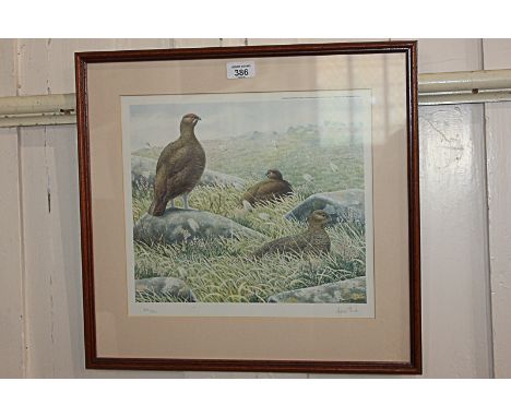 After Andrew Stock (b. 1960), red grouse on moorland, limited edition colour print 303/850, numbered and signed in pencil, pu