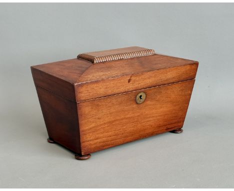 A late-Regency mahogany sarcophagus tea caddy - the lid with a raised fruitwood label with reeded border, on flattened bun fe