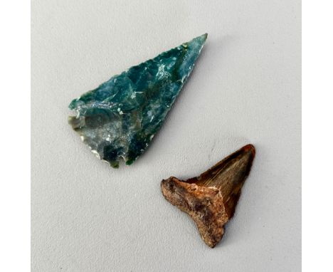 A prehistoric fossilised dinosaur tooth with serrated edges - probably from a carnivorous sea creature, 5cm long; together wi