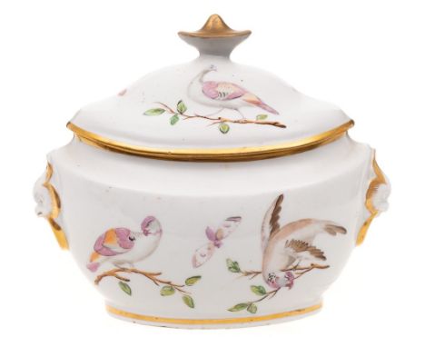 A Coalport [John Rose] boat-shaped sucrier and cover: with 'demon' head ring handles, painted with butterflies and exotic bir