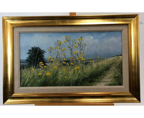 Brian Bennett ROI (British 20th Century), Ridgeway Path, oil on canvas, signed bottom left, framed, measurements 40 x 76 cm P