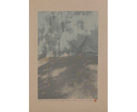 Tetsuya Noda (b.1940) ONE HUNDRED VIEWS OF TOKYO - DIARY NOV 24 1998, UENO PARK Woodblock with mixed media, 1998, signed in p