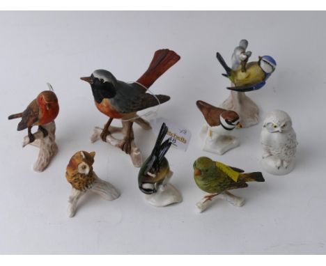 Eight Goebel birds