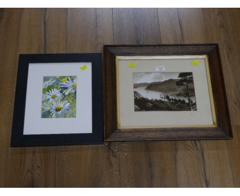Framed vintage photograph of Ullswater and picture of daisies