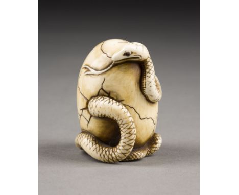 EIN GESCHNITZTES NETSUKE EINER SCHLANGE AUS WALRUSSZAHN Japan, 19./20. Jahrhundert Walrusszahn. H. 4,7 cm. Das Netsuke ist al