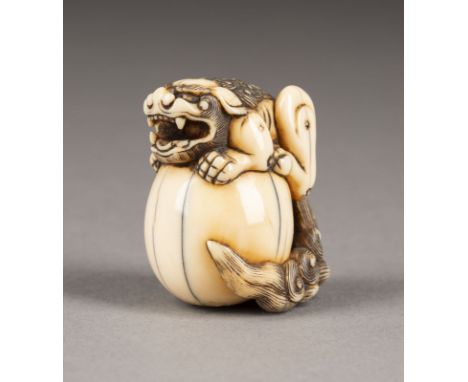 EIN FEINES GESCHNEIDERTES NETSUKE EINES SHISHI MIT KUGEL AUS ELFENBEIN Japan, frühes 19. Jahrhundert Elfenbein. H. 3,8 cm. Di