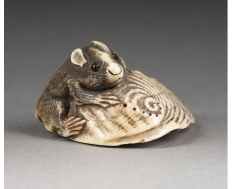 EIN FEINES GESCHNITZTES NETSUKE EINER RATTE MIT EINER MUSCHEL AUS ELFENBEIN Japan, Mitte 19. Jahrhundert Elfenbein. H. 2,4 cm