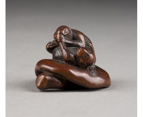 EIN FEINES HOLZGESCHNITZTES NETSUKE VON ZWEI AFFEN UND EINEM PILZ Japan, 18./19. Jahrhundert Holz. H. 3,3 cm. Dieses Netsuke 