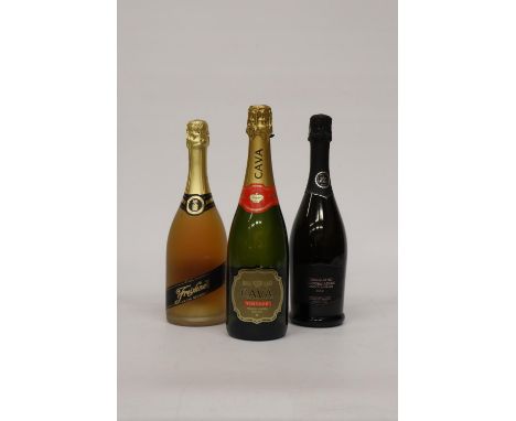 THREE 75CL BOTTLES TO INCLUDE A BOTTLE OF CAVA, A BOTTLE OF FREIXENET CARTA NEVADA BRUT AND A BOTTLE CONEGLIANO PROSECCO 