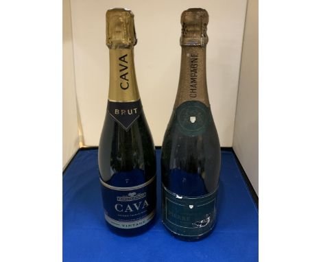 TWO BOTTLES TO INCLUDE A CHAMPAGNE AND A VINTAGE CAVA 