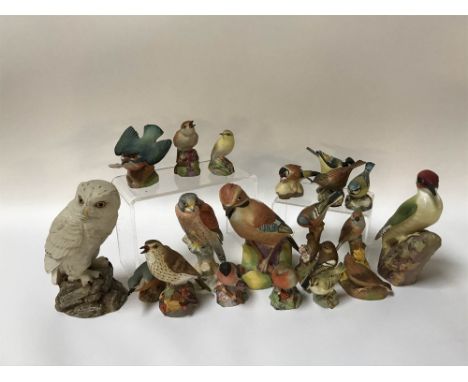 Seventeen Royal Worcester porcelain Birds and an Aynsley Owl (18)