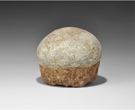 Cretaceous Period, 145-66 million years BP. A fossilised sauropod egg in grey sedimentary rock, probably a Therizinosaur dino