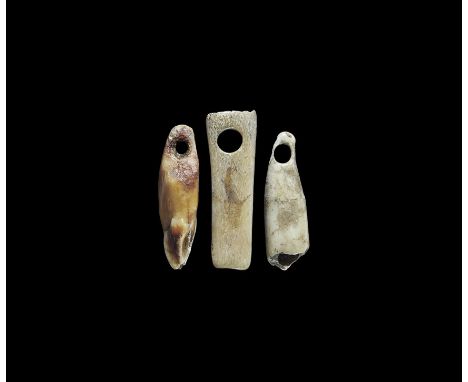Neolithic, 4th-3rd millennium BC. A mixed group of Volosovo culture tooth and bone pendants with pierced holes comprising: tw