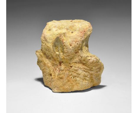 Cretaceous Period, 145-66 million years BP. A fossil dorsal vertebra from a Rebbachisaurus dinosaur, from the Tegana formatio