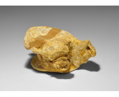Cretaceous Period, 145-65 million years BP. A dorsal vertebra from a Spinosaur dinosaur, from the Kem Kem beds of Morocco. 29