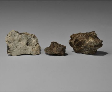 250-200 million years BP. A mixed group of three Triassic phytosaur scutes from Arizona, USA. 90 grams total, 34-58mm (1 1/4 