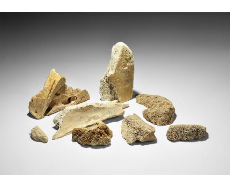 Pleistocene Period, 2.8 million-11,700 years BP. A group of seven woolly mammoth bone sections from Yukutia, Siberia. 964 gra