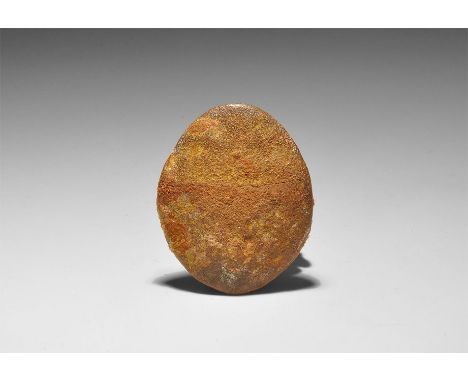 Cretaceous Period, 145-65 million years BP. A skin scute or dermal plate from a Rebbachisaurus sp. from the Kem-Kem Basin, so