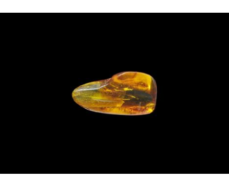 Oligocene Period, 33.9-23 million years BP. A large piece of Baltic amber containing several ants and other inclusions. 5.16 