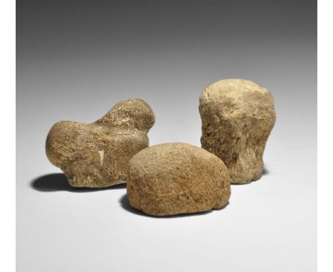 Upper Cretaceous Period, 100-65 million years BP. A group of three Mosasaur vertebrae of the marine reptile Tylosaurus sp., f