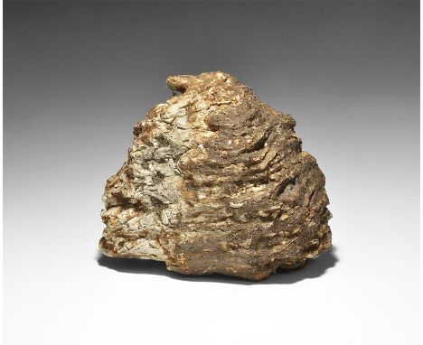 Middle to Late Pleistocene Period, 781-11.7 thousand years BP. A molar of the extinct Elephas antiquus (palaeoloxodon) from f