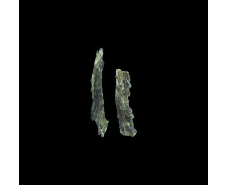 . A group of two epidote specimens with very unusual fern-like growth, in plastic display boxes within an old white card tray