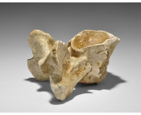 Late Pleistocene Period, 1.5 million-7,700 years BP. A fossil woolly rhinoceros vertebra coelodonta antiquitatis from forest 