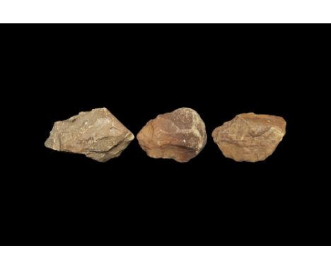 Lower Palaeolithic, 600,000 years BP. A mixed group of three Spanish 'pebble tools'. 1 kg, 10.5-13cm (4 - 5"). Ex Dr M. G. We