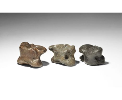 200,000-20,000 years BP. An Ice Age Bison phalanx of three bones from the Pleistocene of Levy Co., Florida. 259 grams, 66mm (