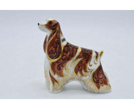 Royal Crown Derby paperweight American Spaniel, first quality with gold stopper.  In good condition with no obvious damage or