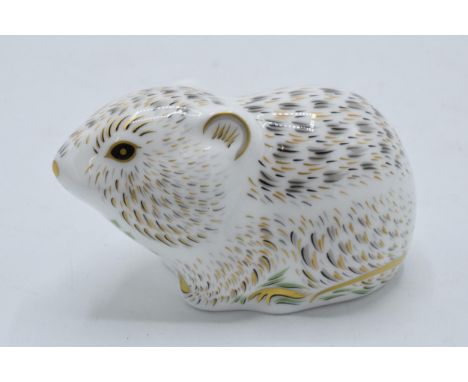 Royal Crown Derby paperweight River Bank Vole, first quality with gold stopper.  In good condition with no obvious damage or 