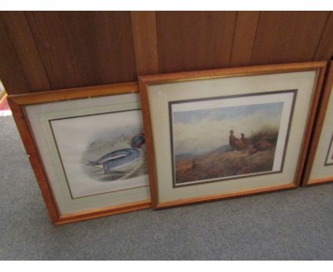 Two coloured prints of ducks after J.Gould &amp; H.C Richter, plus three others of game birds after Archibald Thorburn, publi