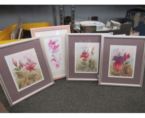Twenty one various coloured 19th Century prints of fuchsias, framed and glazed, and a similar example