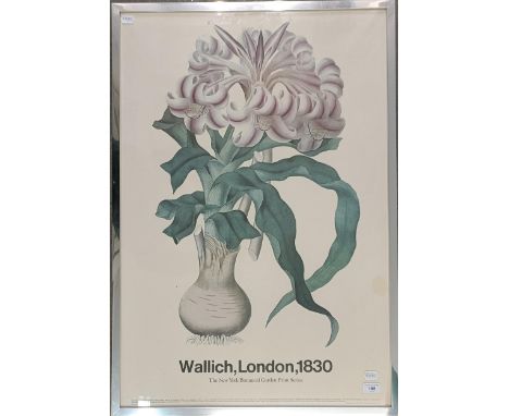 An exhibition poster, Wallich, London 1830, 90 x 61 cmFramed and glazed, some light staining, see images 