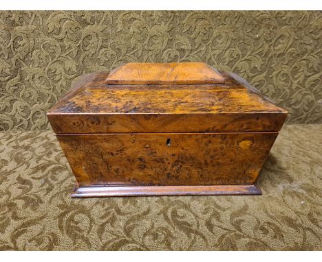 Large figured oak sarcophagus shaped tea caddy 35cm x 2cm x 23cm in good condition.