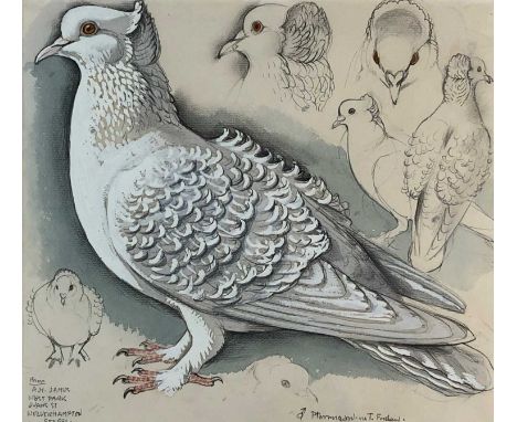 Charles Frederick Tunnicliffe OBE RA (1901-1979) Male Ptarmigan, Fancy Pigeon Series, pencil and watercolour with annotations