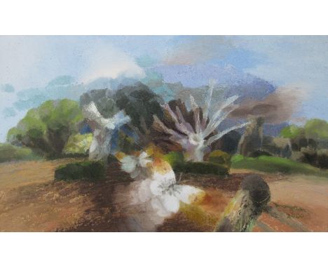 GLYNN MORGAN (b.1926): "Suffolk Wood with Butterflies, dated 2000, oil on canvas, 54cm x 90cm