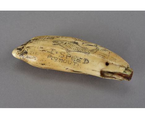 An early 19th century scrimshaw, decorated to one side with HMS Oberon which served from 1805 until 1815, and with a whale to