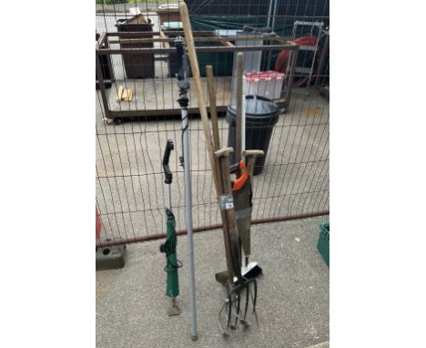 An assortment of garden tools