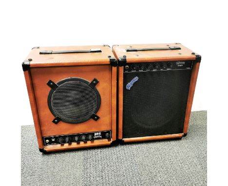 A Pignose pro series G40V speaker together with a Pignose 12VDC hog 30 speaker, 44 x 23 x 34cm.