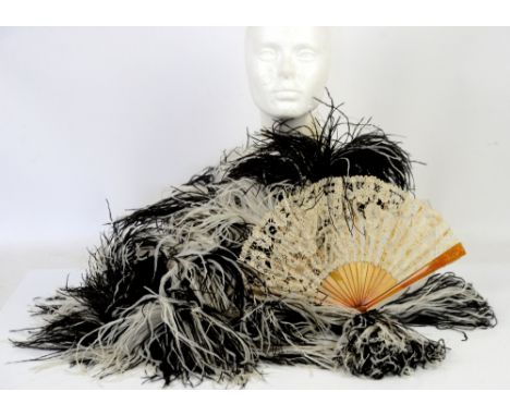 Edwardian black and white ostrich feather boa with tasseled ends, together with a Honiton lace fan on faux tortoiseshell stic